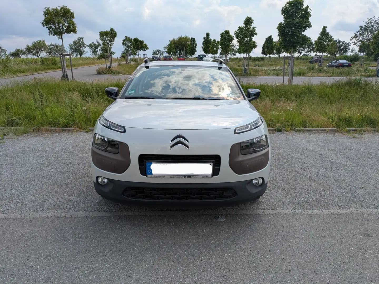 Citroen C4 Cactus Pure Tech 110 Stop&Start Shine Edition - 2