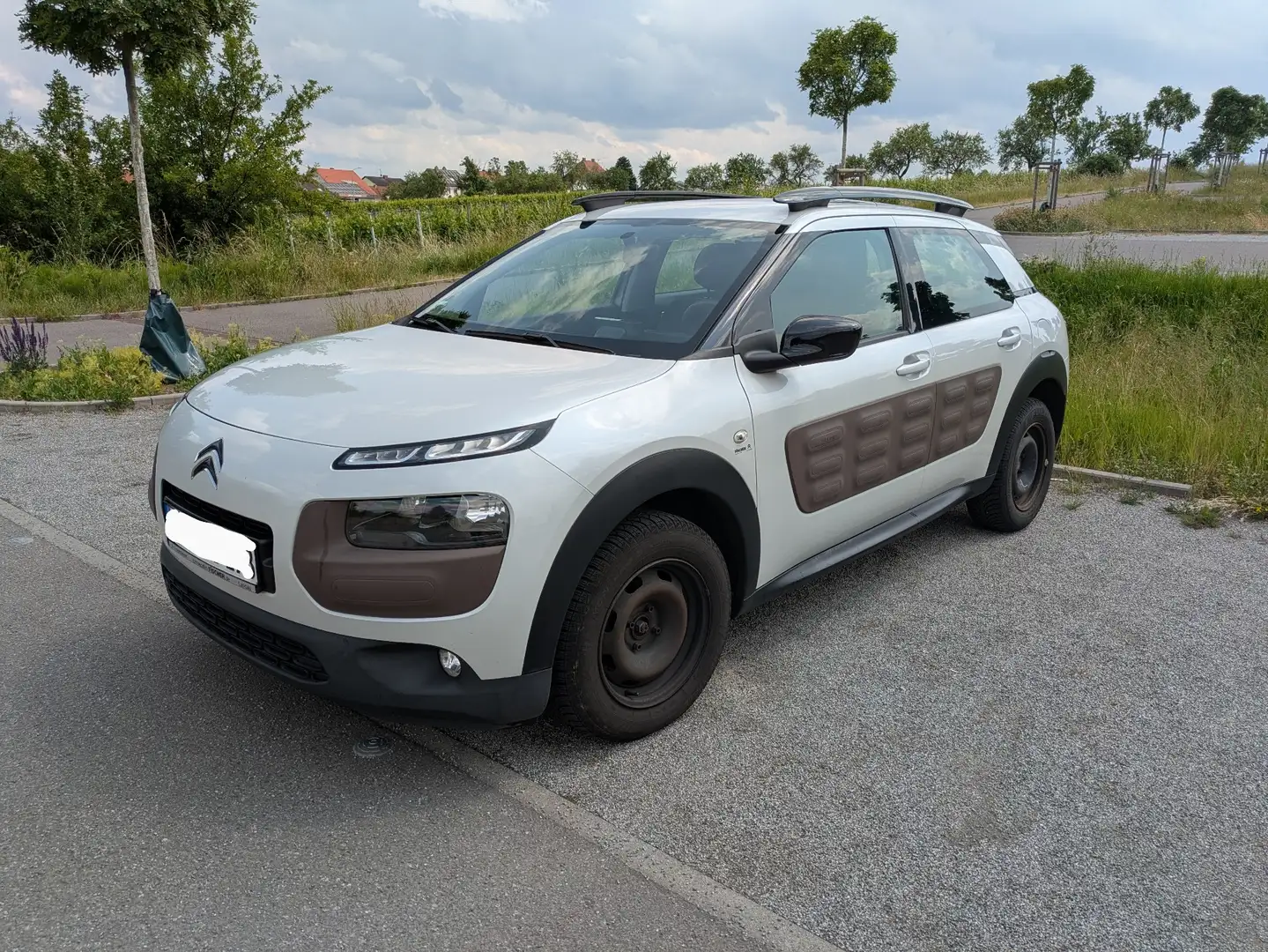 Citroen C4 Cactus Pure Tech 110 Stop&Start Shine Edition - 1