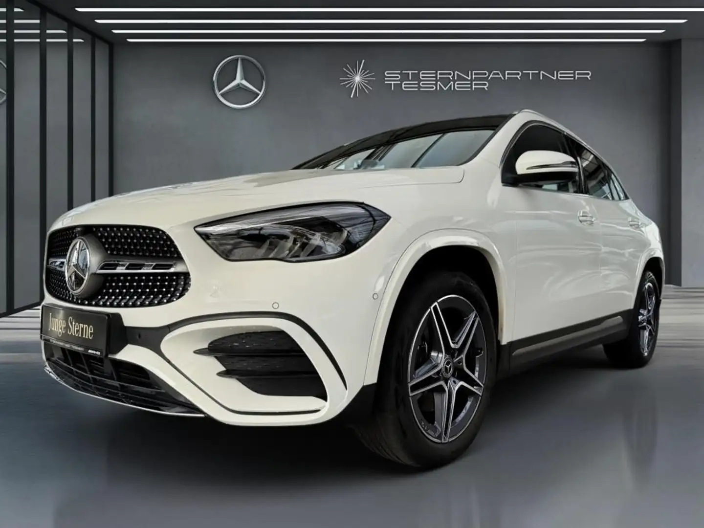 Mercedes-Benz GLA 250 e AMG, Pano, R-Kamera, AHK, 11KW,Keyless Weiß - 1