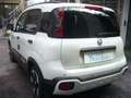 Fiat Panda Cross Pandina 1.0 FireFly Hybrid 5P Nuovo Modell Wit - thumbnail 12