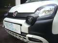 Fiat Panda Cross Pandina 1.0 FireFly Hybrid 5P Nuovo Modell Wit - thumbnail 2