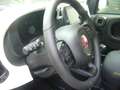 Fiat Panda Cross Pandina 1.0 FireFly Hybrid 5P Nuovo Modell Wit - thumbnail 16
