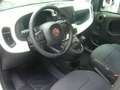 Fiat Panda Cross Pandina 1.0 FireFly Hybrid 5P Nuovo Modell Wit - thumbnail 13