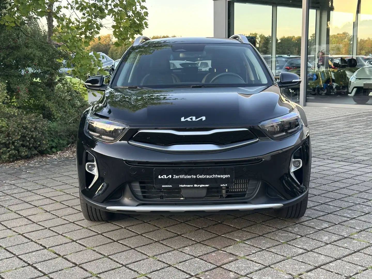 Kia Stonic Nightline Edition Schwarz - 2