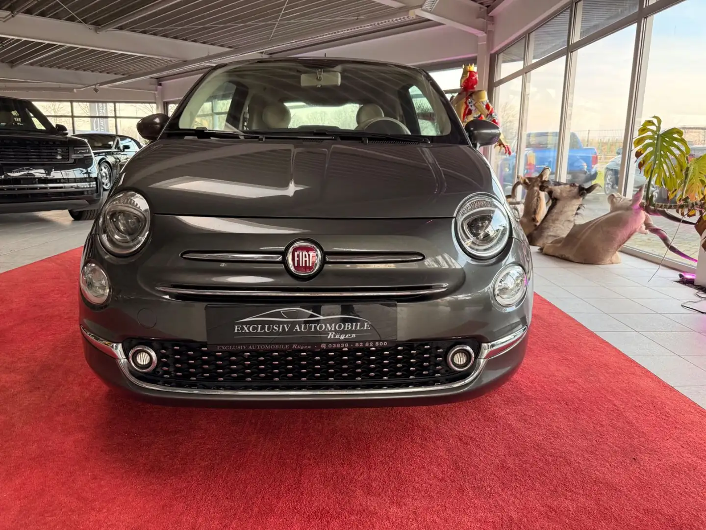 Fiat 500 Glasdach Alufelgen Grau - 2