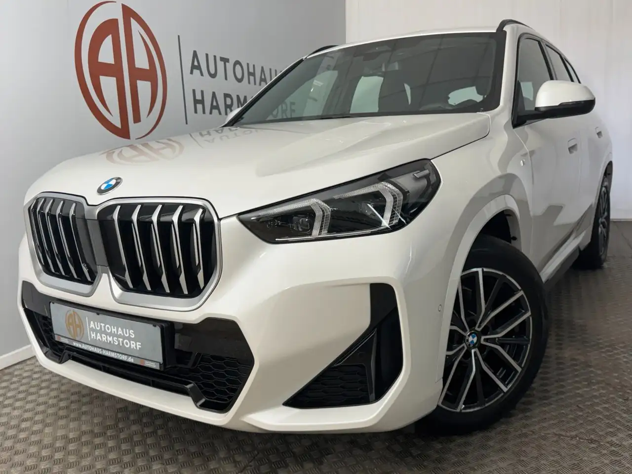 BMW X1 18 i sDrive M Sport Kamera Navi LED