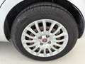 Fiat Punto 5 Porte 1.3 Multijet II Eco Lounge Grigio - thumbnail 7
