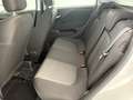 Fiat Punto 5 Porte 1.3 Multijet II Eco Lounge Grigio - thumbnail 14