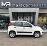 Fiat Panda 0.9 TwinAir S&S 4x4 Van SENSORI + IVA Bianco - thumbnail 3