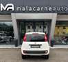Fiat Panda 0.9 TwinAir S&S 4x4 Van SENSORI + IVA Bianco - thumbnail 5