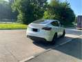 Tesla Model Y RWD White - thumbnail 11