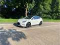 Tesla Model Y RWD White - thumbnail 19