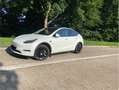 Tesla Model Y RWD White - thumbnail 3
