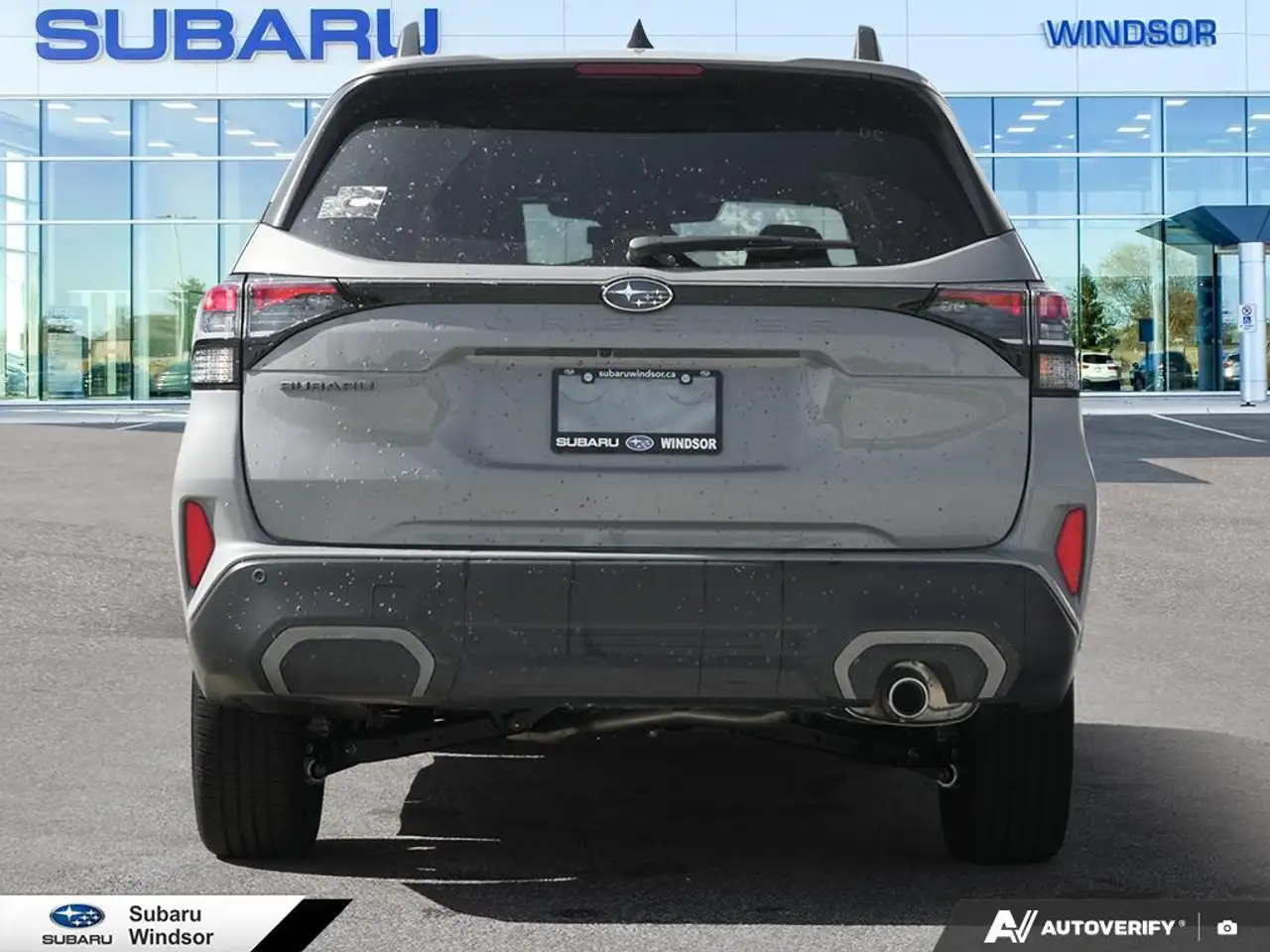 Subaru Forester fotografie Subaru Forester