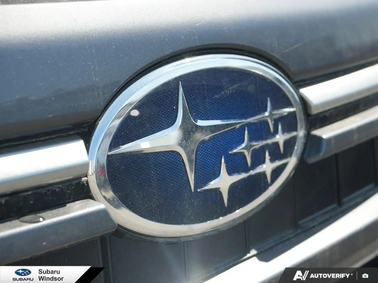 Subaru Forester fotografie Subaru Forester