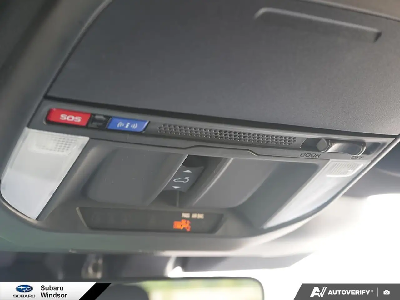 Subaru Forester fotografie Subaru Forester