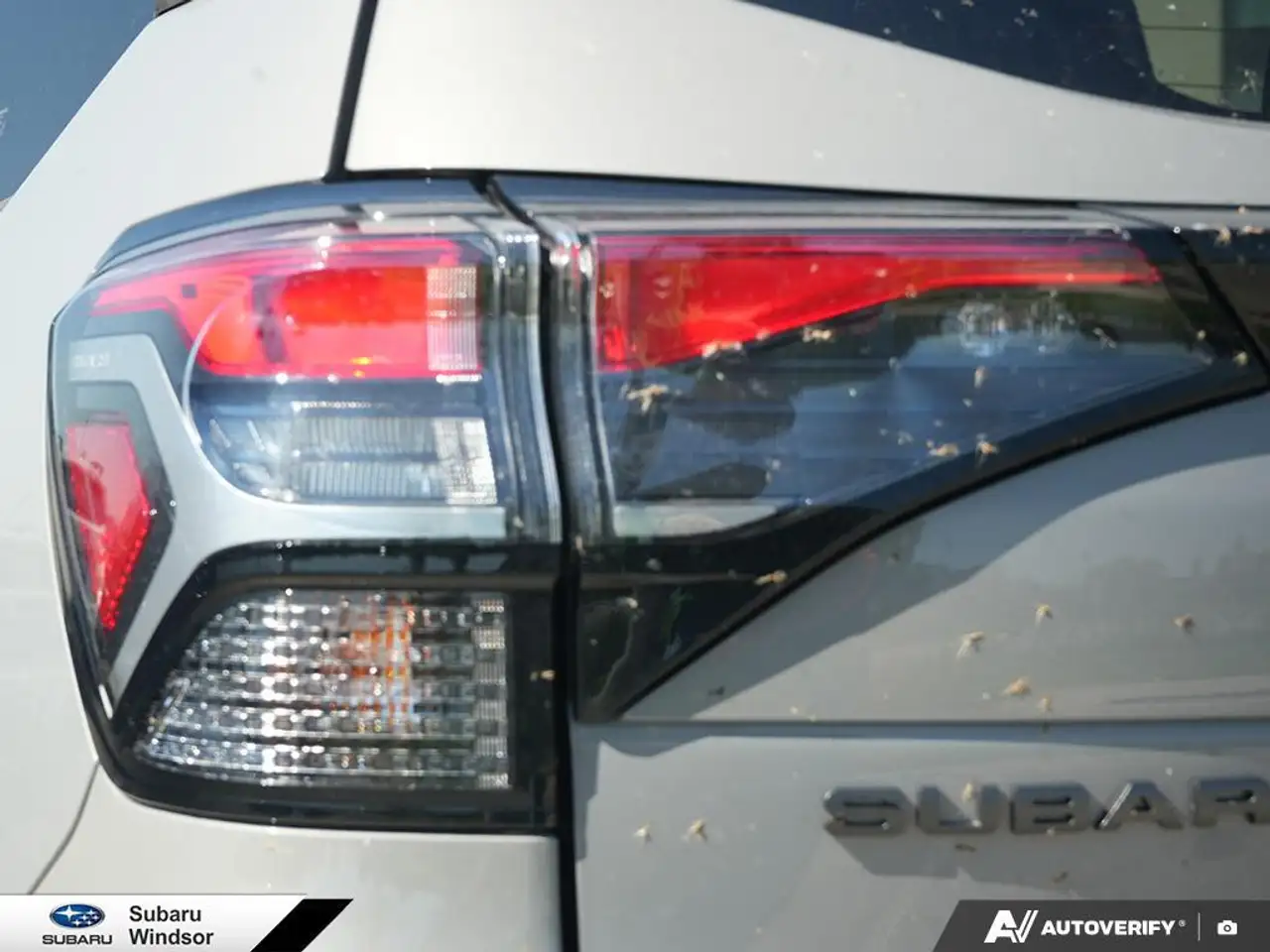 Subaru Forester fotografie Subaru Forester