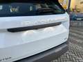 Dacia Duster Duster 1.2 mild hybrid Expression 4x4 130cv Bianco - thumbnail 17