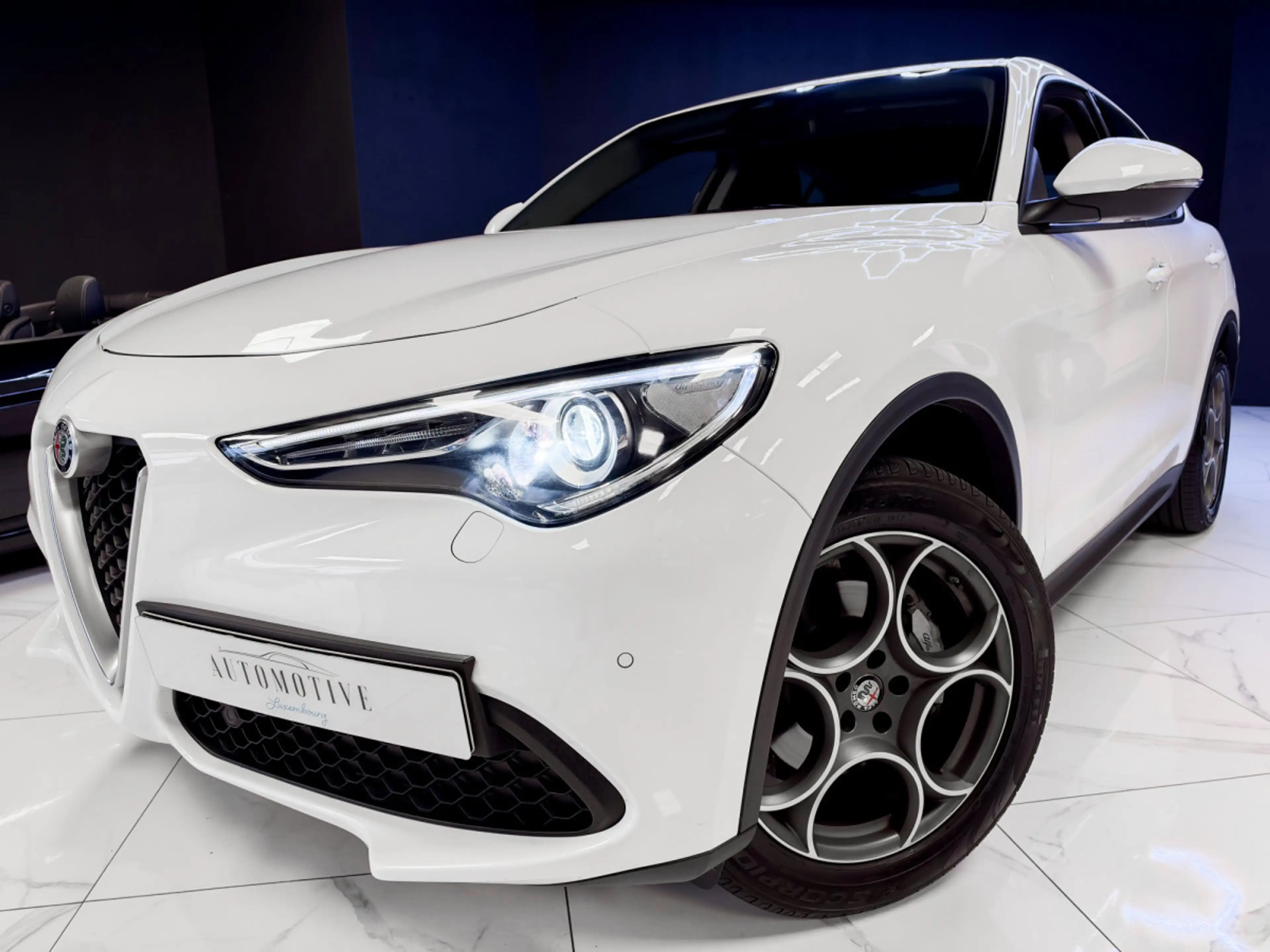 Alfa Romeo Stelvio Q4 2.0 Turbo AWD — photo 14