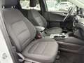 Ford Kuga 2.5 Duratec PHEV Titanium+LED+Ganzjahresr. Weiß - thumbnail 10