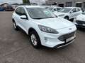 Ford Kuga 2.5 Duratec PHEV Titanium+LED+Ganzjahresr. Weiß - thumbnail 7