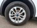 Ford Kuga 2.5 Duratec PHEV Titanium+LED+Ganzjahresr. Weiß - thumbnail 16
