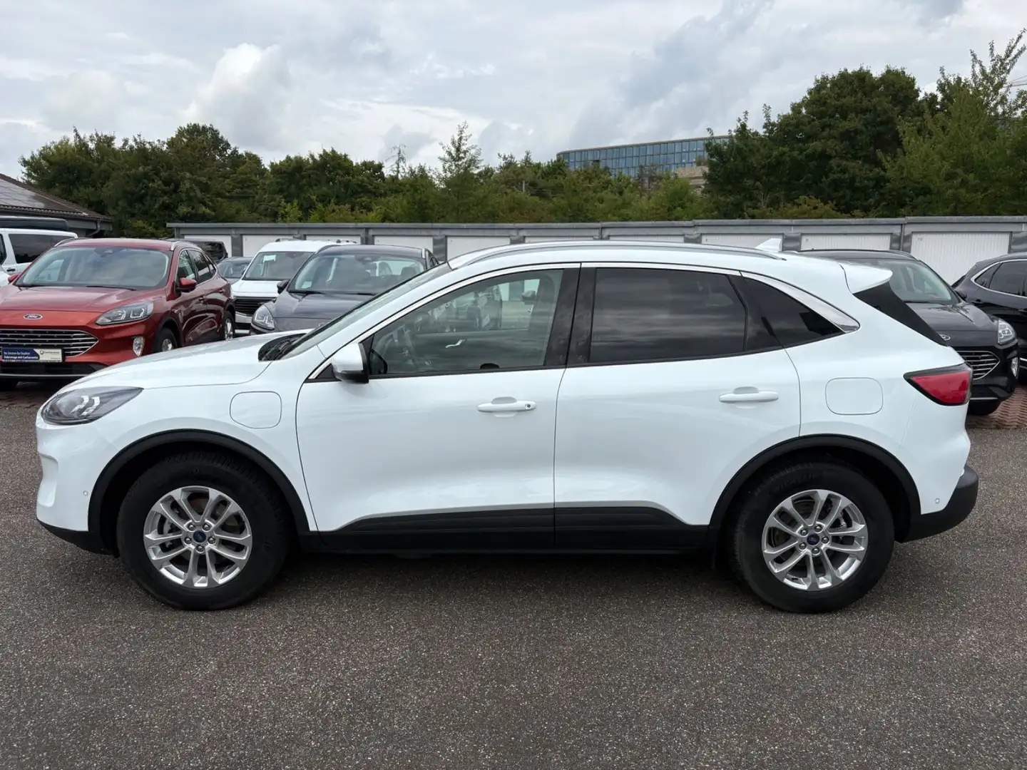 Ford Kuga 2.5 Duratec PHEV Titanium+LED+Ganzjahresr. Weiß - 2
