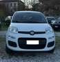 Fiat Panda 0.9 t.air t. natural power Young 80cv E6 Bianco - thumbnail 1