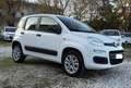 Fiat Panda 0.9 t.air t. natural power Young 80cv E6 Bianco - thumbnail 8