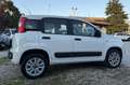 Fiat Panda 0.9 t.air t. natural power Young 80cv E6 Bianco - thumbnail 7