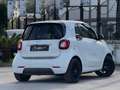 smart forTwo 1.0 Superpassion 71CV Twinamic TETTO CAM Bianco - thumbnail 11