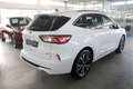 Ford Kuga 2.5 PHEV ST-LINE X Aut. LED B&O el. AHK WinterPak Bianco - thumbnail 5