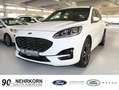 Ford Kuga 2.5 PHEV ST-LINE X Aut. LED B&O el. AHK WinterPak Bianco - thumbnail 1