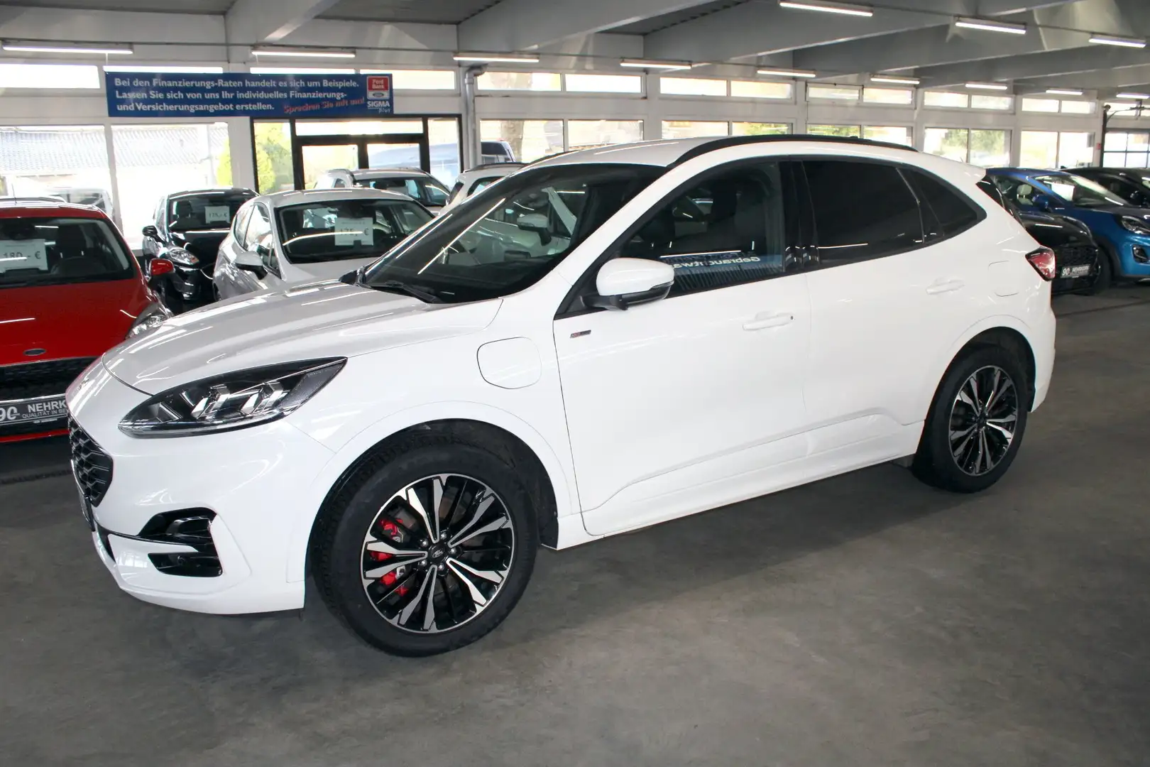 Ford Kuga 2.5 PHEV ST-LINE X Aut. LED B&O el. AHK WinterPak Bianco - 2