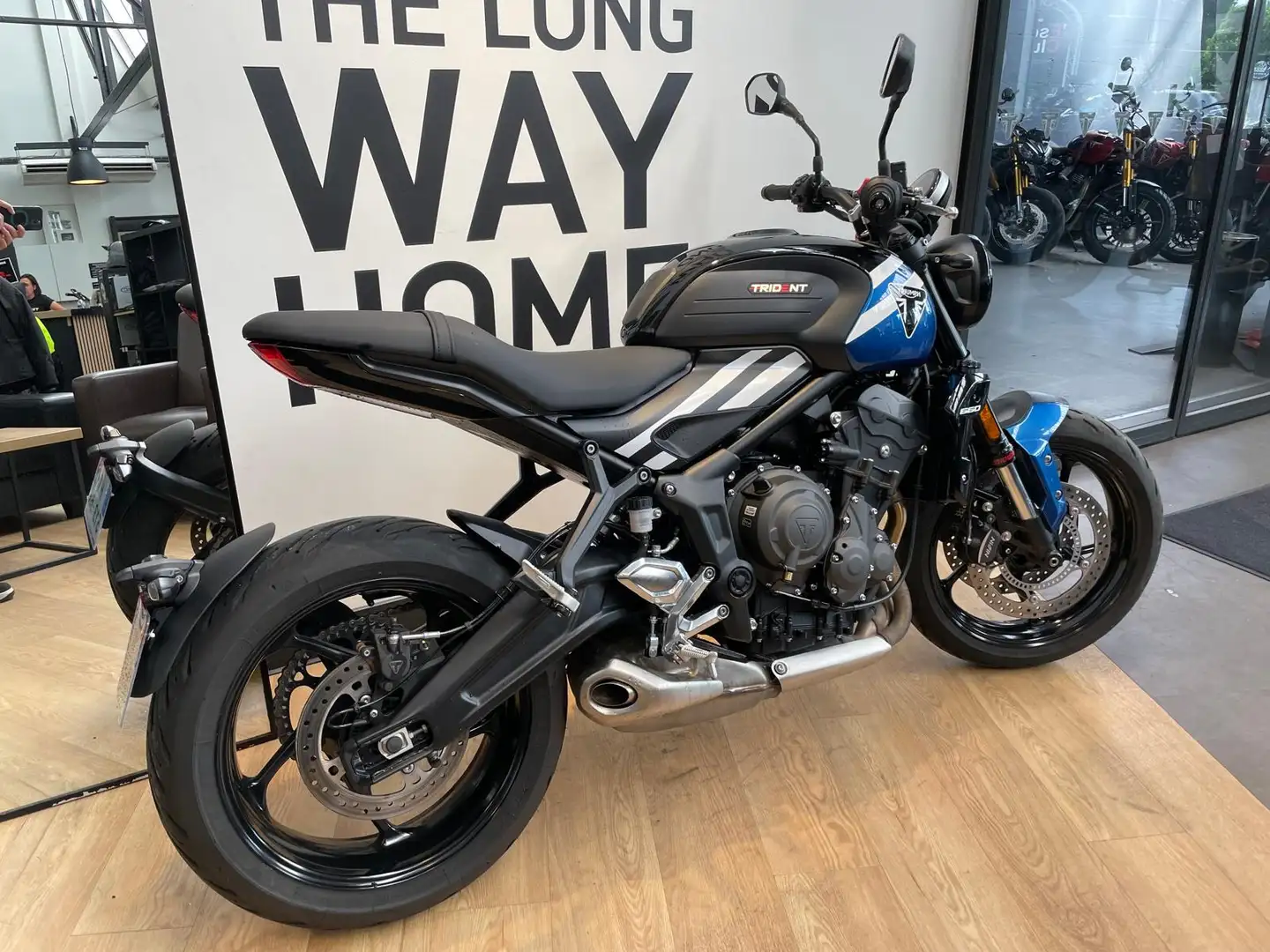 Triumph Trident 660 Bleu - 2