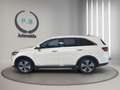 Kia Sorento GT-Line 4WD/AHK/PD/SHZ/360*/ VOLL Weiß - thumbnail 7