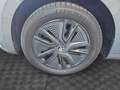 Skoda Fabia 1.0 TSI EVO STYLE DSG Grigio - thumbnail 15