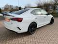 Skoda Octavia 2.0TSI DSG RS Navi+Matrix+Winterpaket Weiß - thumbnail 5