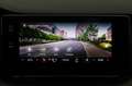Skoda Octavia 2.0TSI DSG RS Navi+Matrix+Winterpaket Weiß - thumbnail 17