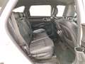Kia Sorento 2.2 CRDi Platinum 4WD 360°|Leder|HuD|Navi|Sound Weiß - thumbnail 12