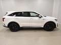 Kia Sorento 2.2 CRDi Platinum 4WD 360°|Leder|HuD|Navi|Sound Weiß - thumbnail 7