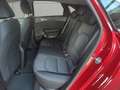 Kia Ceed / cee'd ceed 1,5 TGDI Silber Rot - thumbnail 16