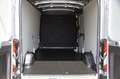Ford Transit Kasten FT350 L3H2 Trail AWD KAMERA PDC Silber - thumbnail 19