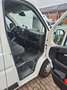 Citroen Jumper L2H2S&S Shine Blanc - thumbnail 9