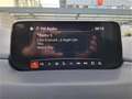 Mazda CX-5 CD150 AWD Revolution KOMMISIONSFAHRZEUG Schwarz - thumbnail 15