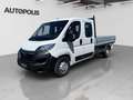 Opel Movano 2.2L C Blanc - thumbnail 1
