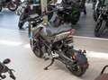 Benelli TNT 125 Tornado Naked, sofort lieferbar Gris - thumbnail 19