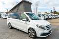 Mercedes-Benz V 250 Marco Polo V250CDI MBUX Navi Plus*LED ILS*18"LMF Weiß - thumbnail 1