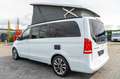 Mercedes-Benz V 250 Marco Polo V250CDI MBUX Navi Plus*LED ILS*18"LMF Weiß - thumbnail 3