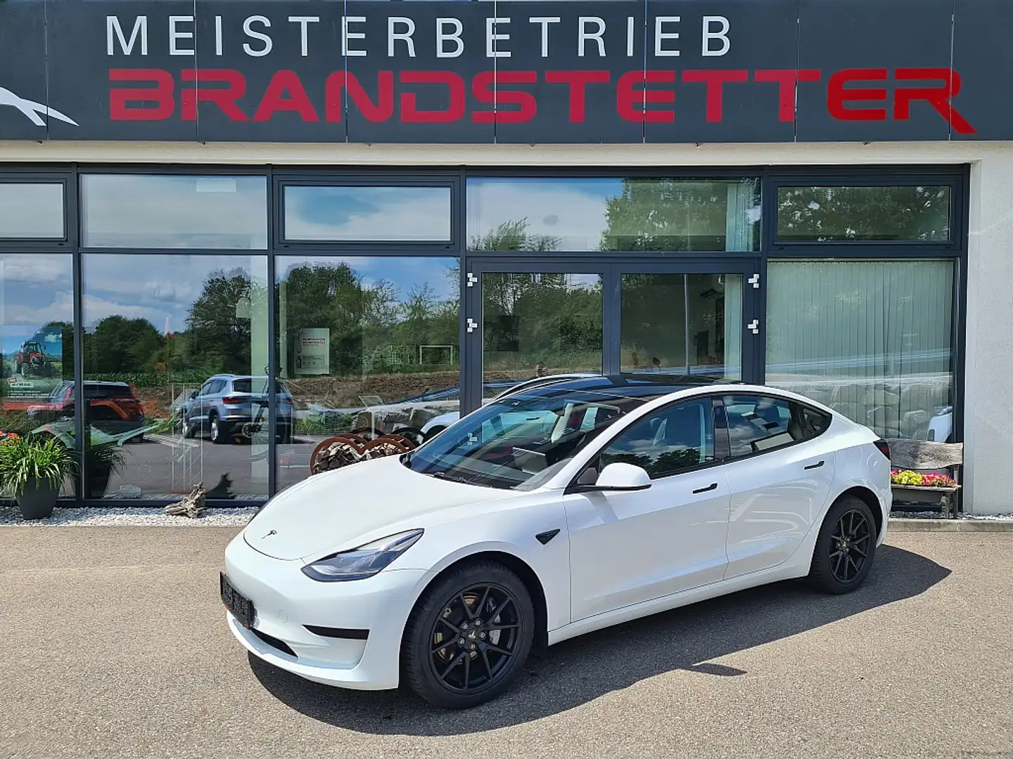 Tesla Model 3 Standard Range Weiß - 1